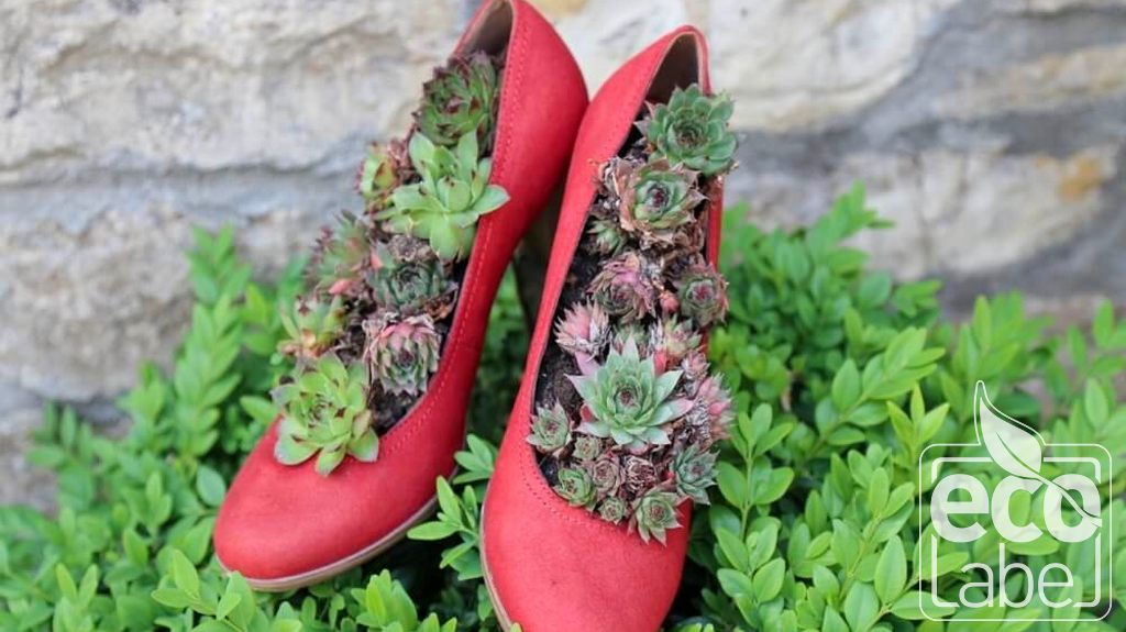 Eco footwear cheap