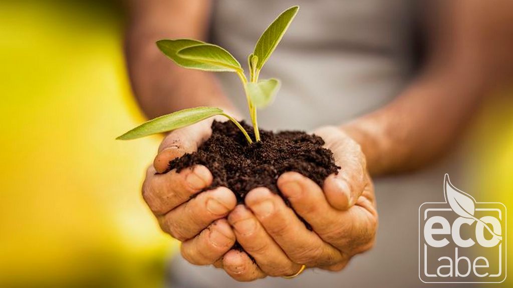 Comemoração do Dia Mundial do Rótulo Ecológico