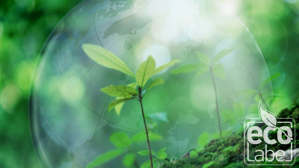Hvordan utvikles kriteriene for evaluering av ECO LABEL?